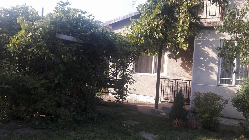 Sadyba Karpatskyi Vedmid Kosiv Exterior foto